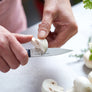 Opinel Intempora N°225 Paring Knife