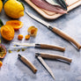 Opinel Beech Effilé Knife