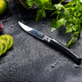 Opinel Ebony Effilé 10 Knife