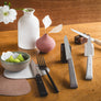 Opinel Bon Appétit Table Knives Set