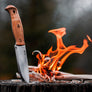 Helle Nordlys Knife