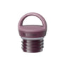 Klean Kanteen 592ml Rise Insulated Classic Water Bottle with Arch Loop Cap