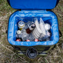 Petromax 17L Cooler Backpack