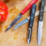Opinel Loft 4pc Kitchen Knife Set