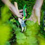 Opinel Le Secateur Hand Pruner