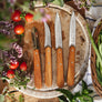 Opinel Olive Wood 4pc Kitchen Knife Set