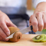 Opinel N°313 Essentiels+ Serrated Knife