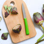 Opinel N°313 Essentiels+ Serrated Knife