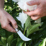 Opinel N°08 Pruning Knife