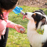 Vapur 700ml EZ Lick Foldable Dog Water Bottle