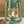 Feuerhand LED Lantern Baby Special 276 - Sage Green