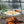 Petromax Hanging Fire Bowl for Cooking Tripod