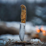 Helle Polaris Knife