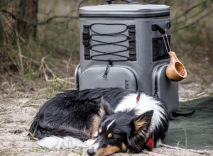 Petromax 17L Cooler Backpack