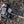 Petromax Waffle Iron Transport Bag