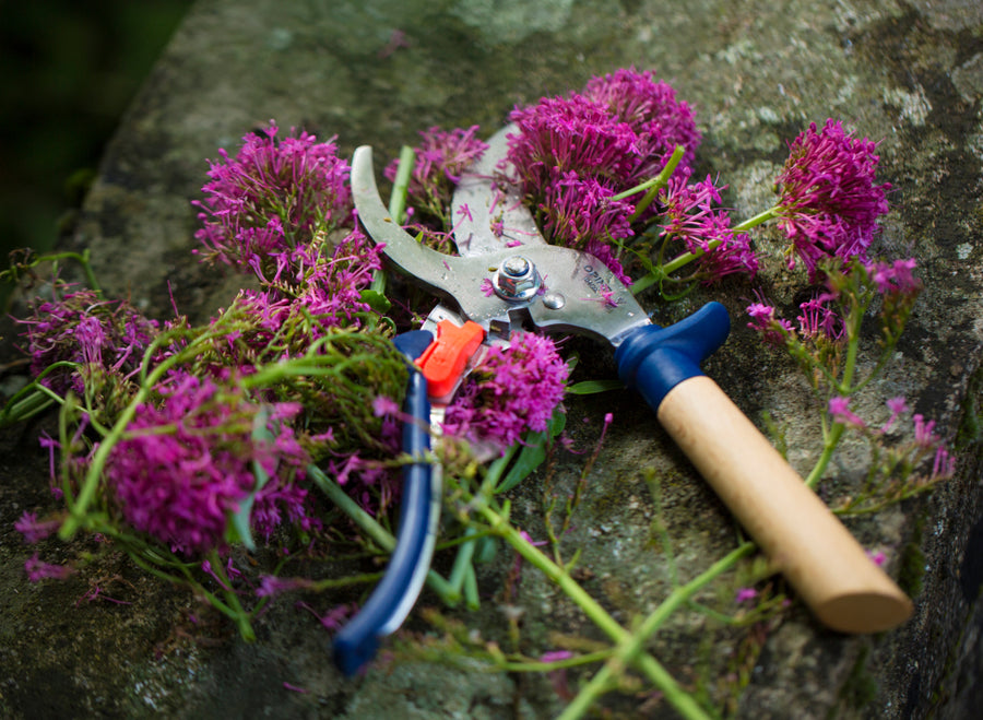 Opinel Le Secateur Hand Pruner - Slate