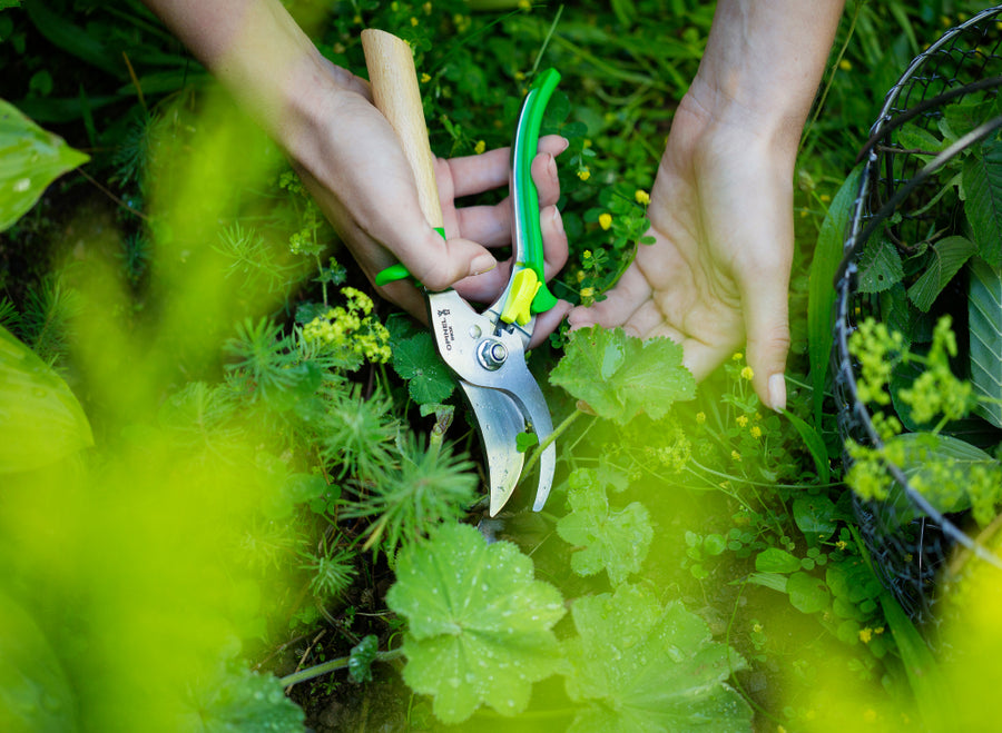 Opinel Le Secateur Hand Pruner - Meadow Green