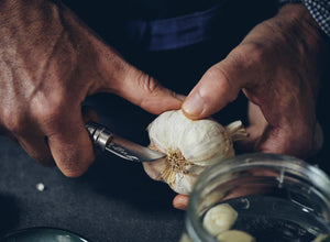 Opinel No.7 Garlic, Fruit & Chestnut Folding Knife