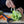 Opinel T-Duo Polymer Peeler