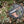 Petromax All-Purpose Knife 14cm