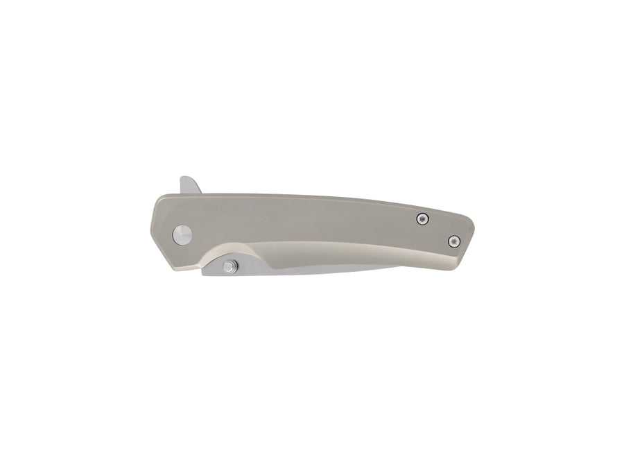 Buck 254 Odessa Knife