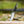 Buck 657 Large Pursuit Guthook Knife