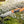 Buck 657 Large Pursuit Guthook Knife