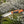 Buck 658 Small Pursuit Knife