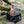 Petromax Dutch Oven Transport Bag