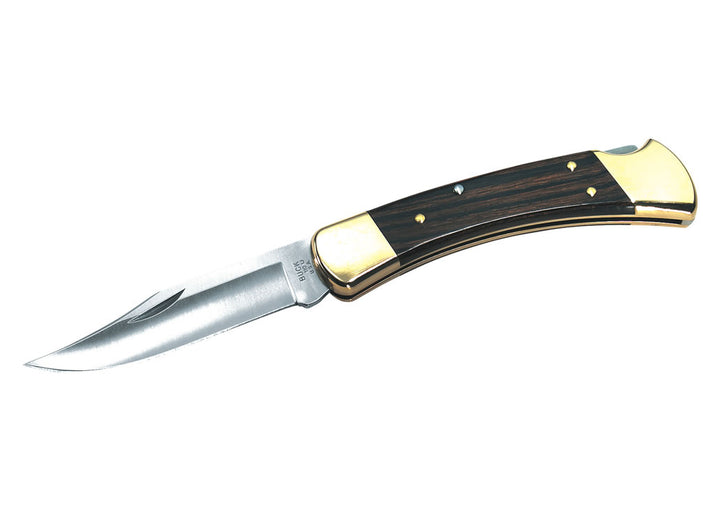 Buck Folding Hunter Knife