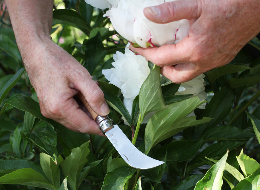 Opinel N°08 Pruning Knife