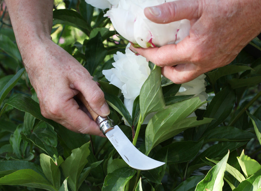 Opinel No.8 Pruning Knife