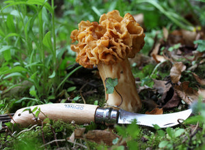 Opinel No.8 Mushroom Knife