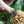 Opinel N°08 Mushroom Knife