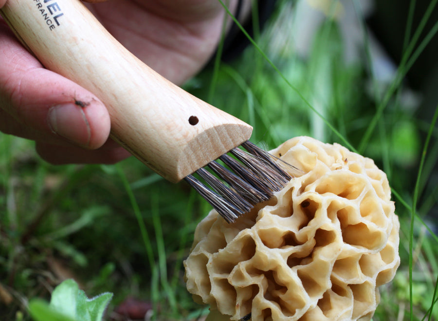 Opinel No.8 Mushroom Knife